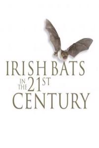 Irish Bats in the 21st Century