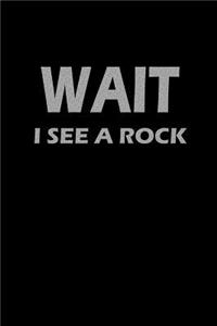 Wait I see a rock: Notebook Journal Diary 110 Lined pages