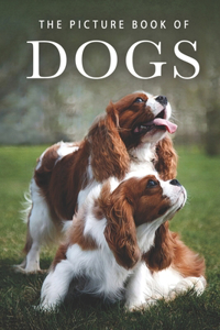 Picture Book of Dogs