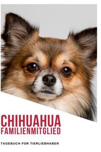 Chihuahua Familienmitglied