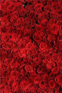 Red Roses