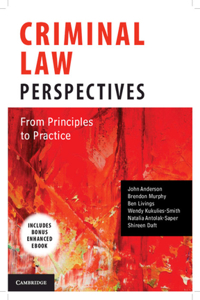 Criminal Law Perspectives