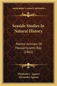 Seaside Studies In Natural History