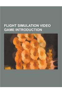 Flight Simulation Video Game Introduction