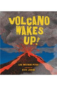 Volcano Wakes Up!