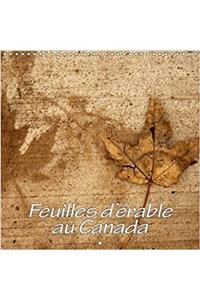 Feuilles D'erable Au Canada 2018