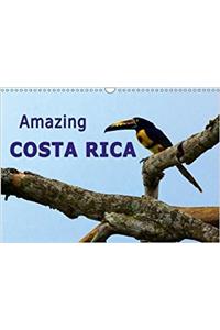 Amazing Costa Rica 2018