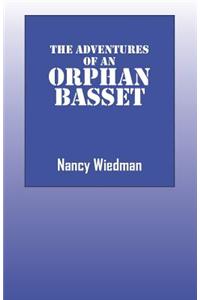 The Adventures of an Orphan Basset