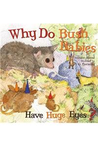 Why Do Bush Babies Have Huge Eyes?