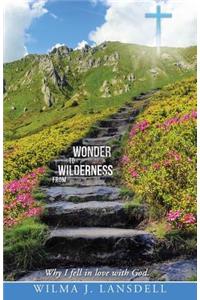 From Wilderness to Wonder