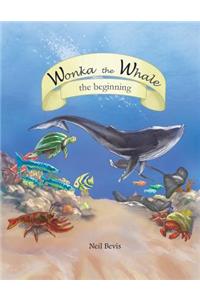 Wonka the Whale