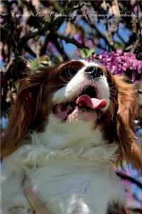 Cavalier King Charles Spaniel February Notebook Cavalier King Charles Spaniel Record, Log, Diary, Special Memories, to Do List, Academic Notepad, Scrapbook & More