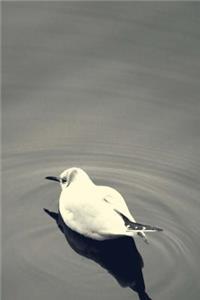 Bird on Water Journal
