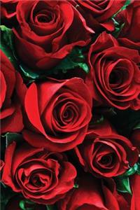 Wild and Red Notebook