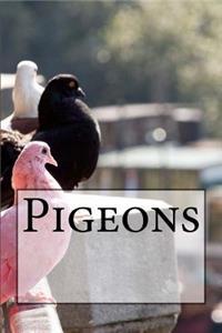 Pigeons