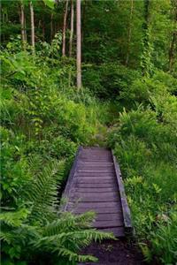 A Weathered Wooden Bridge in the Forest Nature Adventure Journal