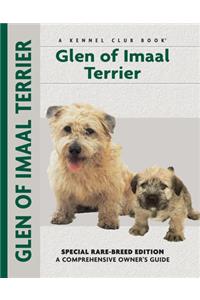 Glen of Imaal Terrier