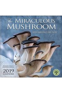 Miraculous Mushroom 2019 Wall Calendar