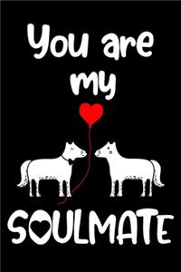 You are my Soulmate