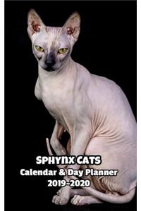 Sphynx Cats Calendar & Day Planner 2019-2020