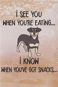 I See You When You're Eating I Know When You've Got Snacks Notebook Journal