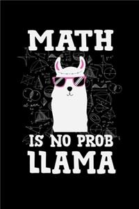 Math Is No Prob-Llama