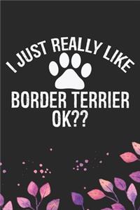 I Just Really Like Border Terrier Ok?