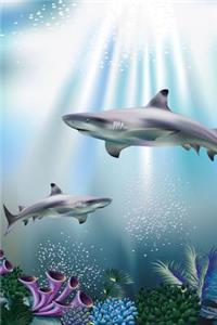 Shark Spotting Notebook