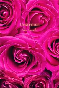 Gratitude Journal