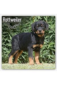 Rottweiler Puppies Calendar 2018