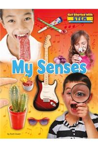My Senses
