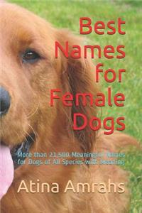 Best Names for Female Dogs