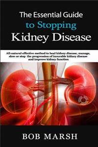 Essential Guide to Stopping Kidney Disease