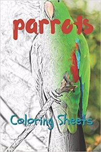 Parrot Coloring Sheets