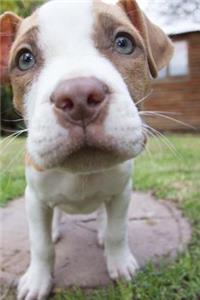 Puppy Notebook