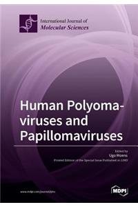Human Polyomaviruses and Papillomaviruses