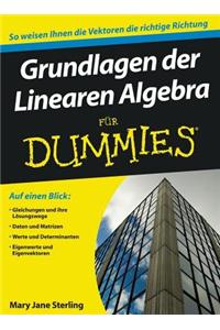 Grundlagen der Linearen Algebra fur Dummies