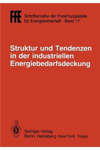 Struktur und Tendenzen in der industriellen Energiebedarfsdeckung