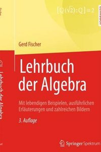 Lehrbuch Der Algebra: Mit Lebendigen Beispielen, Ausfuhrlichen Erlauterungen Und Zahlreichen Bildern