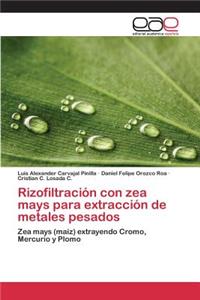 Rizofiltración con zea mays para extracción de metales pesados