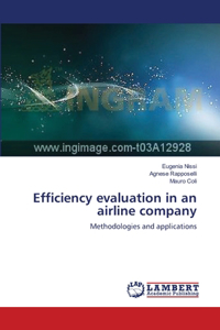 Efficiency evaluation in an airline company