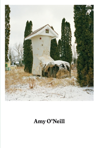 Amy O'Neill: Suburban Imagination