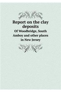 Report on the clay deposits Of Woodbridge, South Amboy and other places in New Jersey