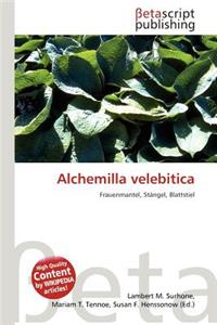 Alchemilla Velebitica