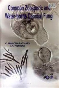 Common Zoosporic and Water Borne Conidial Fungi