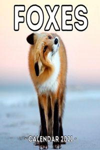 Foxes Calendar 2021