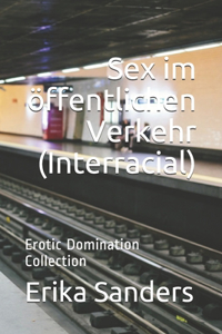 Sex im öffentlichen Verkehr (Interracial)