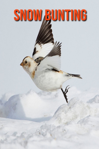 Snow Bunting