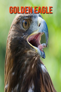 Golden Eagle