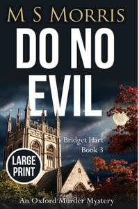 Do No Evil (Large Print Edition)